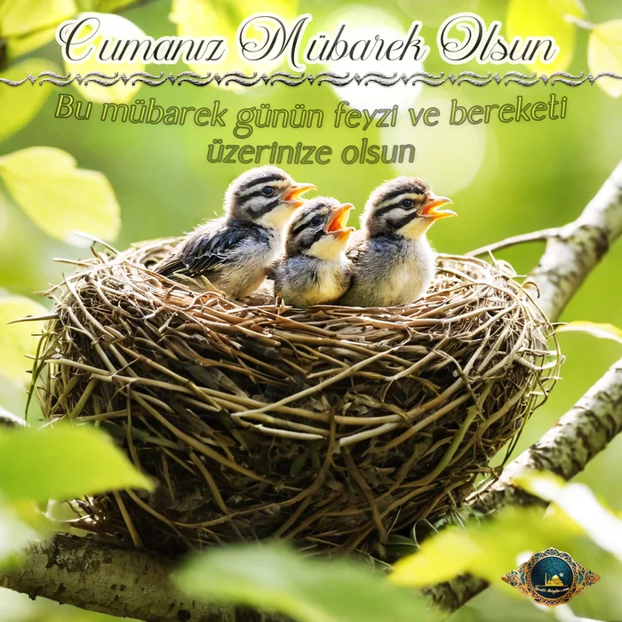 en şık cuma mesajları resimli​